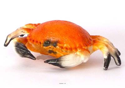 Crabe des mers factice 20 cmX13 cm superbe