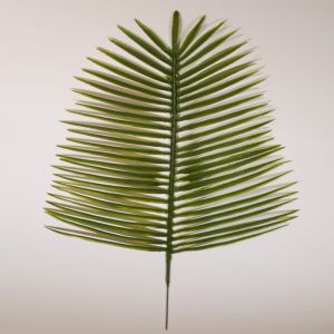 Feuille de palmier Phoenix X6 H 51 cm Plastique pour exterieur D 21 cm superbe