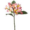 Frangipanier factice Rose et jaune en branche fleurie H 73 cm magnifique et rare
