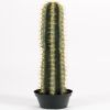 Cactus Cierge factice en pot cactée H 98 cm Qualité Pro