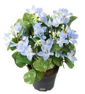 Campanules fleuries factices en pot, H 25 cm, Bleu ciel