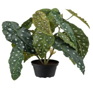 Begonia Bambou factice en pot H 40 cm