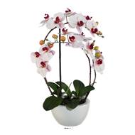 Orchidee factice en coupe ceramique H 60 cm toucher reel 4 hampes Rose-crème