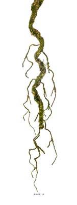 Branche de liane artificielle ramifiée avec mousse réaliste H 96 cm Vert forêt