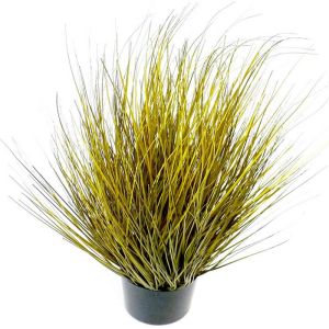 Isolepsis Herbes Graminees factices Vert H 76 cm dans un pot tres fournie