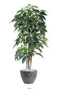 Schefflera factice en pot Iroto tronc naturel superbe densite H 180 cm Vert