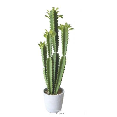 Euphorbe Trigona Succulent plante factice en pot Beton Mousse PU H 71 cm Vert