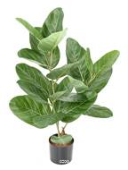 Ficus Elastica Artificiel factice avec tronc bois et en pot H 62 cm D 55 cm