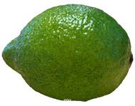 Citron vert limé factice L 8 cm D 5,5 cm touché réel