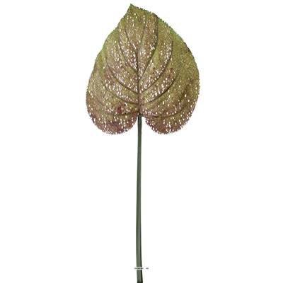 Feuille de Philodendron H 72cm D 30cm