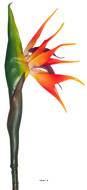 Strelizia Arabica factice oiseau du paradis tete latex H 80 cm