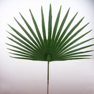 Feuille palmier Chamaerops X6 artificielle H 53 cm D 36 cm ext