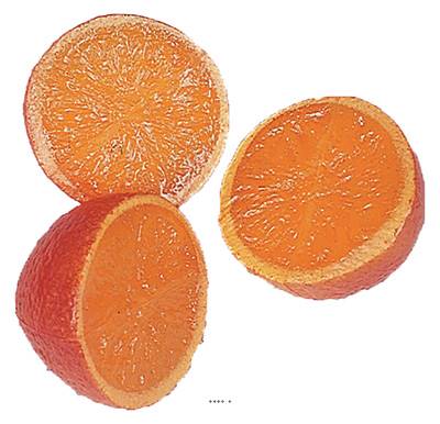 Demi Oranges factices x3 D 65 mm plastique soufflé