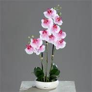 Orchidee factice 3 hampes en coupe ceramique H 45 cm toucher reel Blanc rose