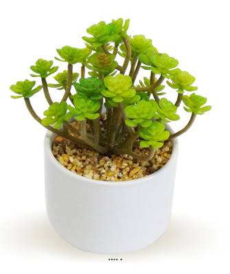 Sedum Cactus Agave plante factice en pot céramique H20cm Vert Type A