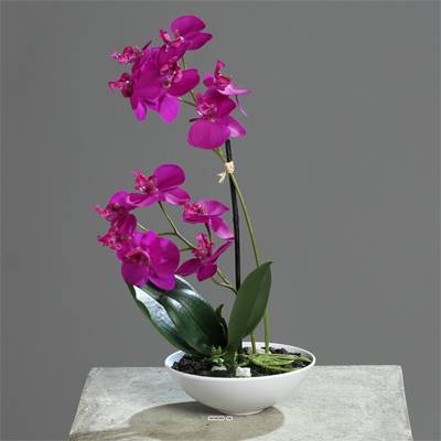 Orchidee artificielle 2 hampes en coupe plastique H 26 cm Touché reel Pourpre