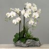 Composition Orchidee sur buche 3 hampes H 60 cm fleurons latexés et cactés