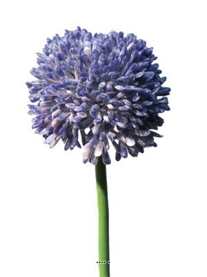 Fleur d'allium factice en tige H 45 cm Lavande
