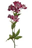 Astrance fleur artificiellel H 50 cm 8 fleurs 2 ramures Rare et superbe Mauve violet