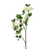 Seringat factice en branche 69 cm superbe Blanc