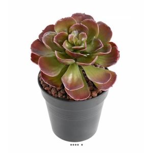 Crassula artificiel Vert-rouge : H 22 cm en piquet