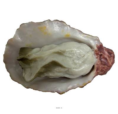 Huitre factice numéro 5 | Décoration marine réaliste – Artif-Déco-Mag