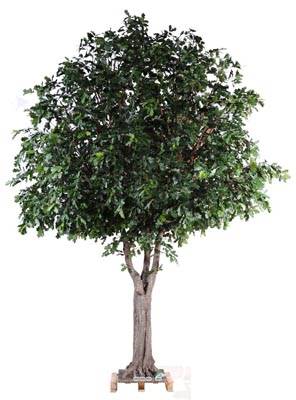 Chene arbre factice H 350 cm L 280 cm tronc bois et fibre sur platine