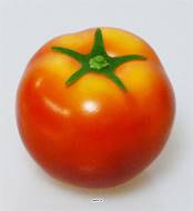 Tomate et sa feuille factice D 7 cm touché réel