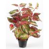 Coleus plante verte factice dans un pot H 40 cm tres originale