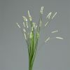 Isolepsis factice Herbe a ours H 70 cm Creme