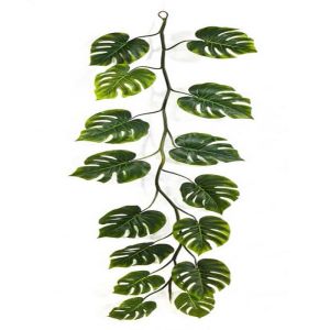 Guirlande de feuilles de philodendron H 230 cm largeur 70 cm