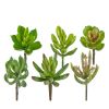 Plantes grasses factices succulentes cactees X6 Tetes melangees