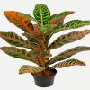 Croton plante factice dans un pot H 40 cm tres fournie