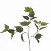 Feuillage de Philodendron factice en branche H 70 cm