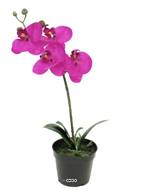 Orchidée Phalaenopsis factice en pot qualité décorateur H 35 cm Rose fushia