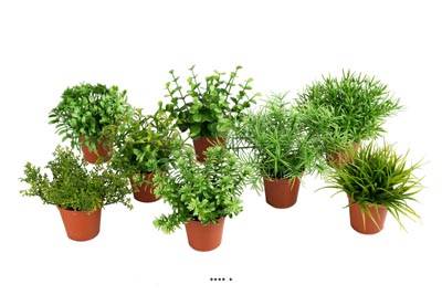Herbes variées factices en pot mini plantes assorties le lot de 8 pots Feuillage plastique H 9-12 cm