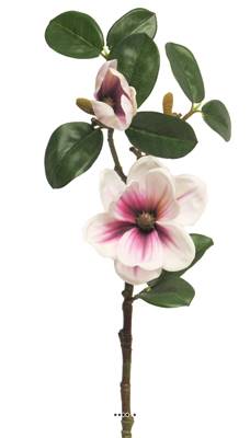 Magnolia factice, 2 fleurs, en tige, H 51 cm,  Pourpre-blanc