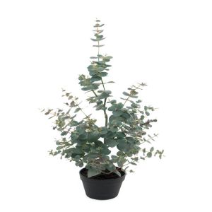 Eucalyptus factice en pot H 95 cm D 16 cm