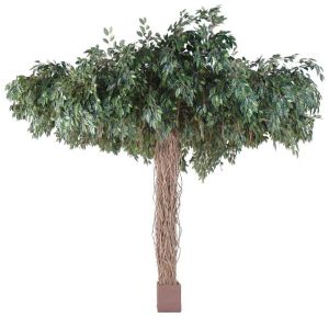 Ficus factice Lianes Umbrella H 320 cm D 450 cm 25600 feuilles dans un pot