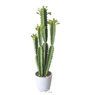 Euphorbe Trigona Succulent plante factice en pot Beton Mousse PU H 71 cm Vert