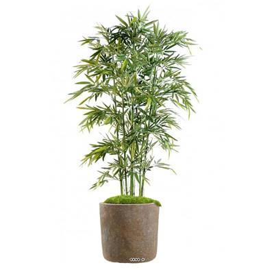Bambou semi naturel en pot cannes moyennes Vertes H 120 cm D 75 cm de feuillage tissu 
