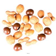 Lot de 24 fruits secs factices D 30x50 mm plastique soufflé