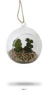 Plante grasse factice succulente en bulle de verre avec corde Type A