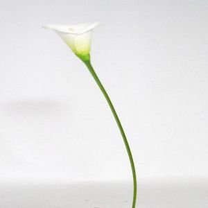 Arum calla factice H 60 cm Blanc Neige fleur L 10 cm