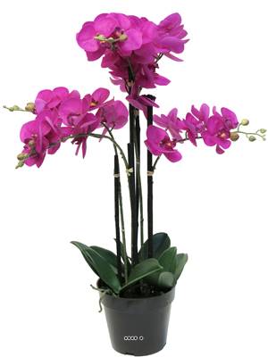 Orchidée Phalaenopsis factice Top Qualité & pot H35cm Rose fushia-BEST