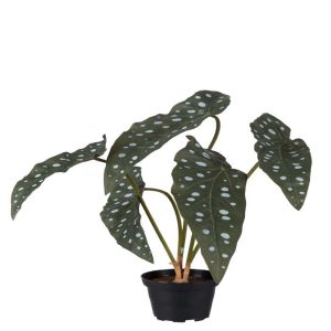 Begonia Bambou factice en pot H 35 cm, D 29 cm