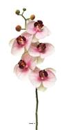 Orchidée phalaenopsis factice en tige, toucher réel, H 58 cm, Pourpre-blanc