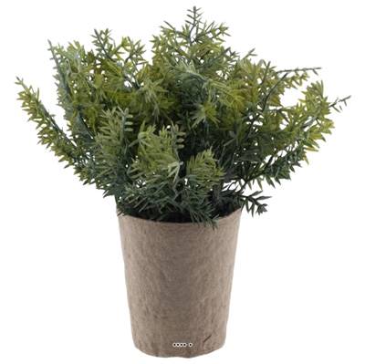 Thym herbe aromatique factice touché réel