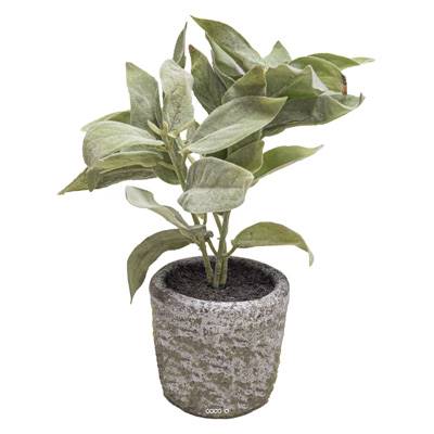 Herbe aromatique artificielle Sauge H 26 cm