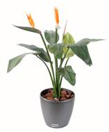 Strelizia 2 fleurs 1 bouton H95 cm factice